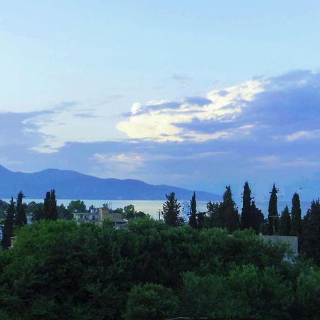 Sunshine Home 2 With Sea View Corfu  Ngoại thất bức ảnh